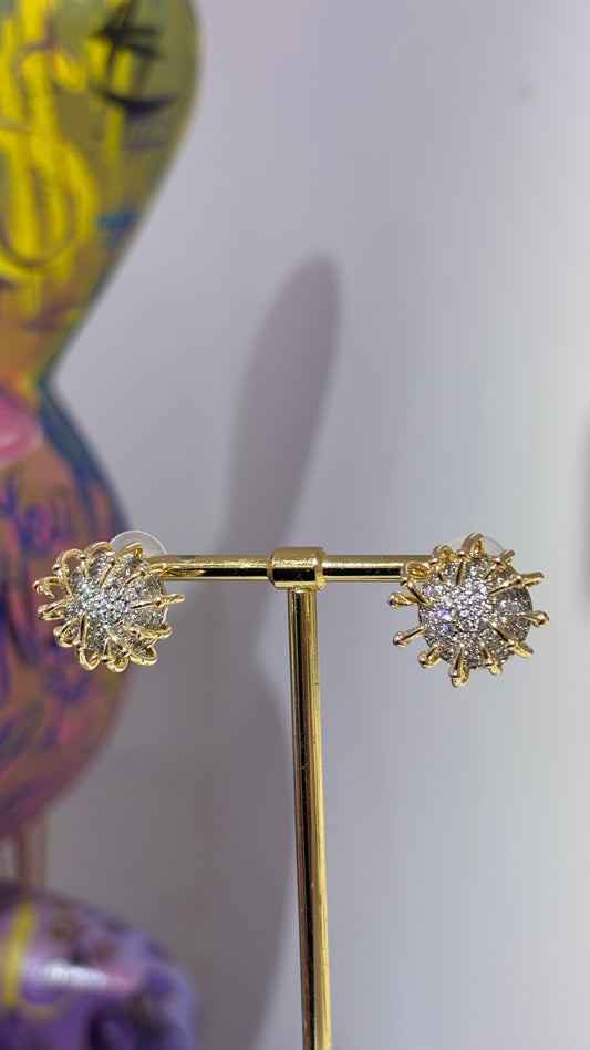 Taşlı Yuvarlak Küpe